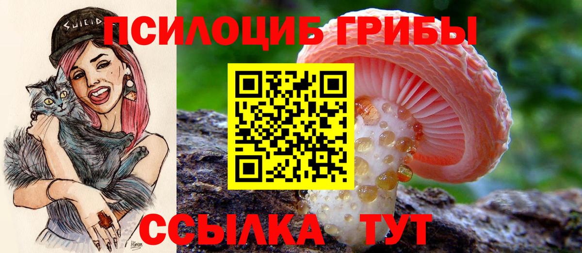 Галлюциногенные грибы мухоморы Фурманов