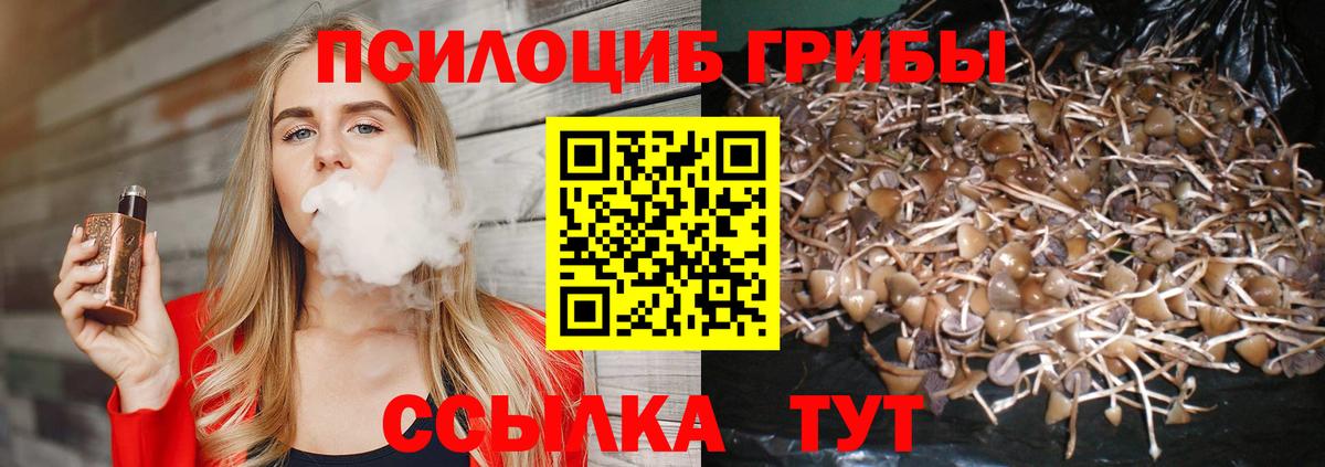 Псилоцибиновые грибы ЛСД  Вход с VPN  Галлюциногенные грибы прущие грибы  Фурманов 